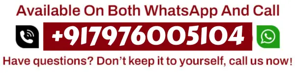 Astrologer krishna 7976005104